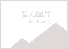 龙岗区莫爱化学有限公司